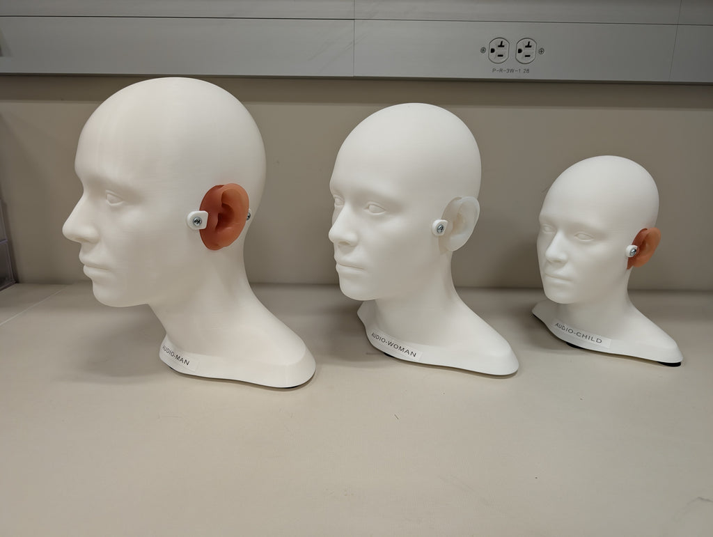 Audio-Man™ Anatomical Patient Simulator | Official Physical Model