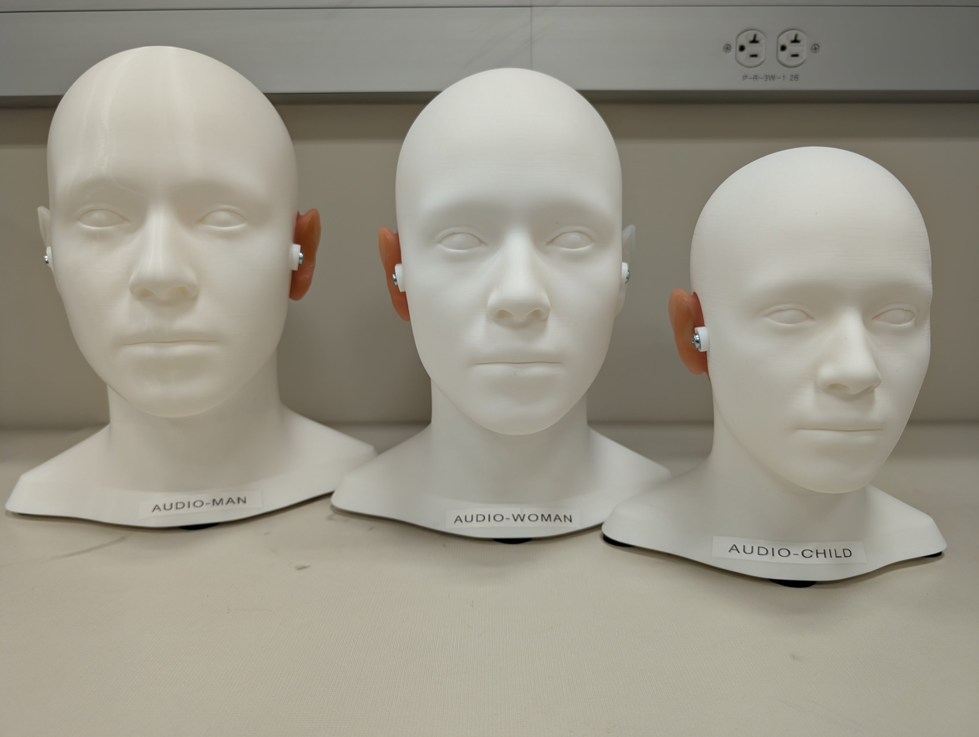 Audio-Man™ Anatomical Patient Simulator | Official Physical Model