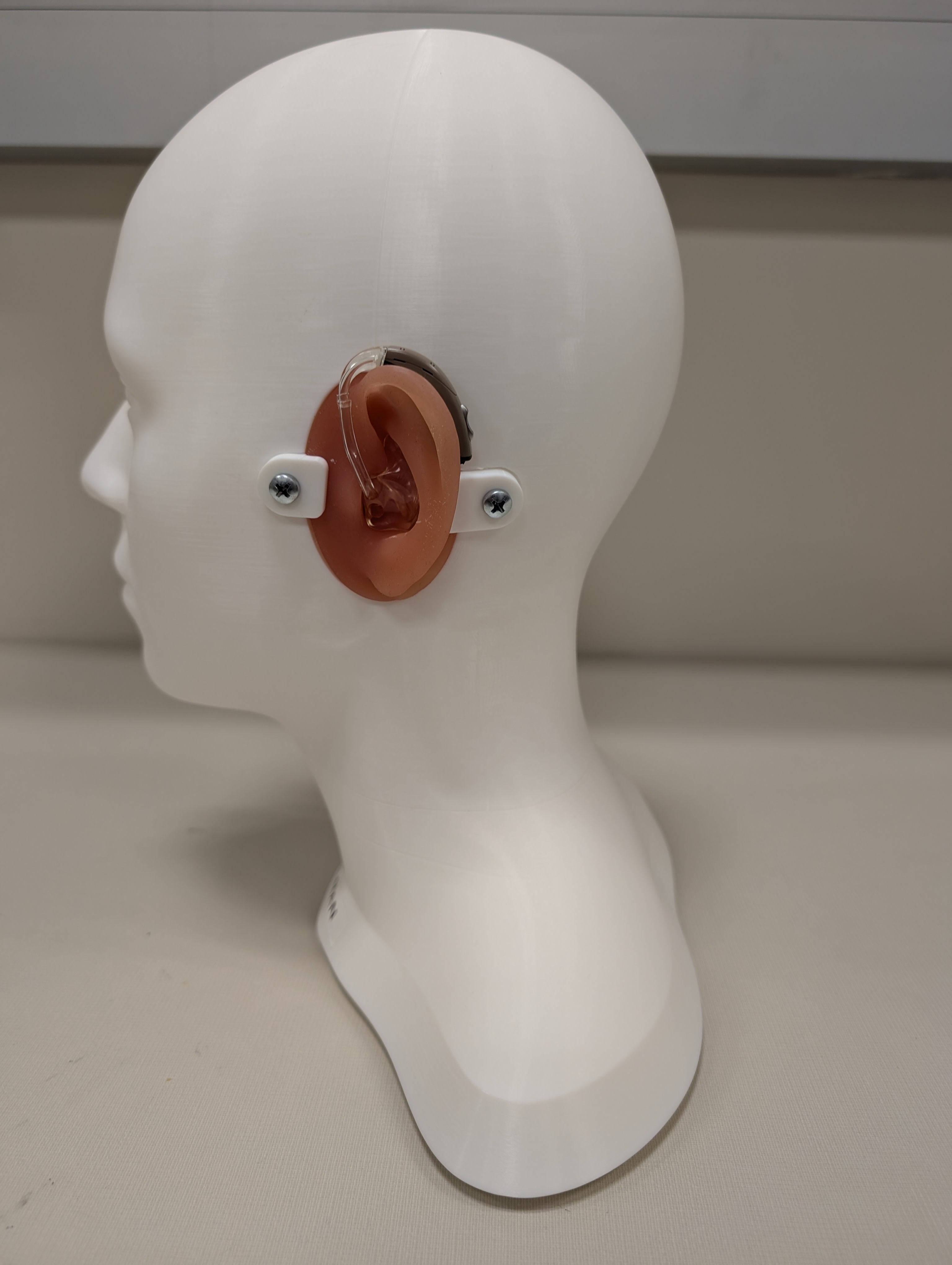 Audio-Man™ Anatomical Patient Simulator | Official Physical Model