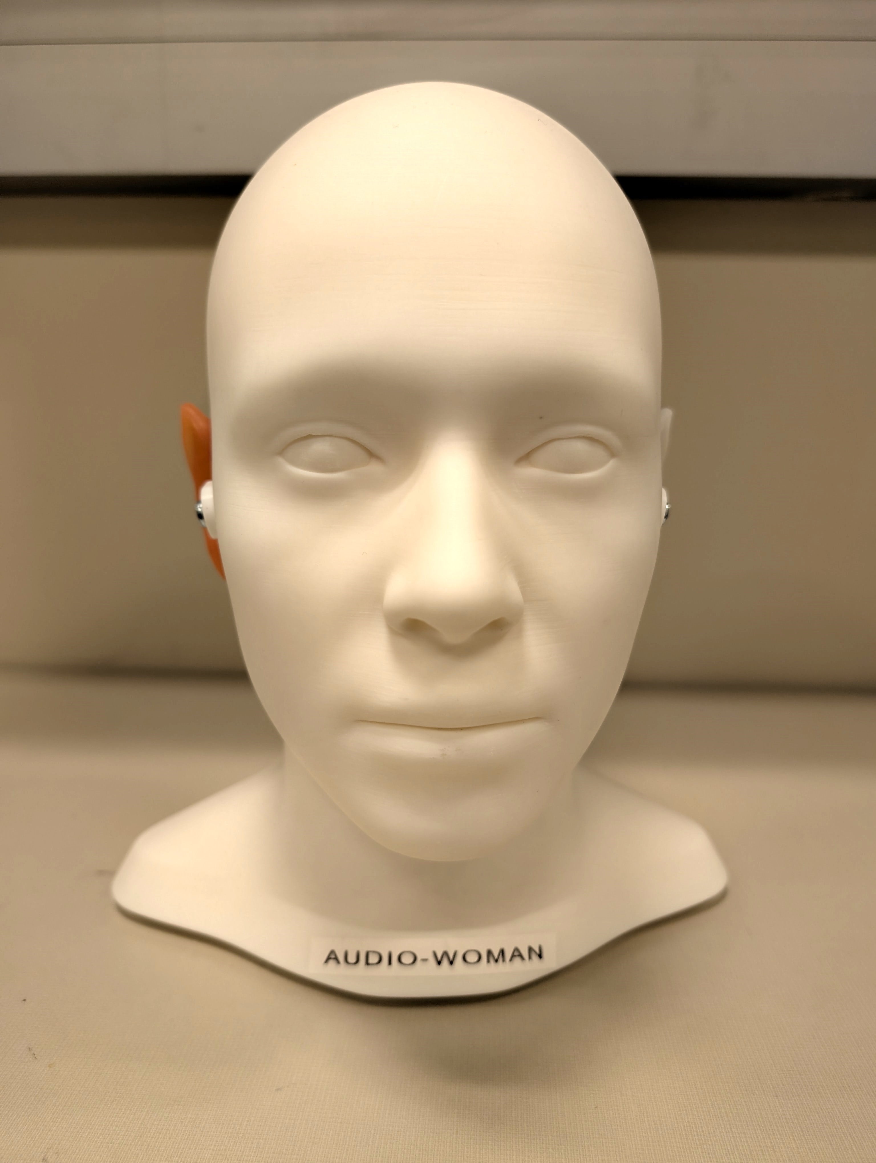 Audio-Man™ Anatomical Patient Simulator | Official Physical Model